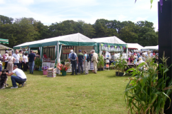 3.66m Wide Party Tents