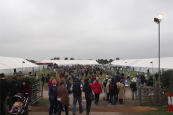 Agricultural Show Marquees