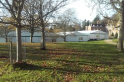 Marquees for Christmas Markets