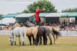 New Forest Show 2025